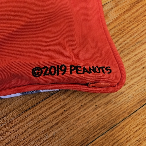 Pottery Barn Teen PEANUTS Pillow Sham Cases Pair (2) - Picture 4 of 15